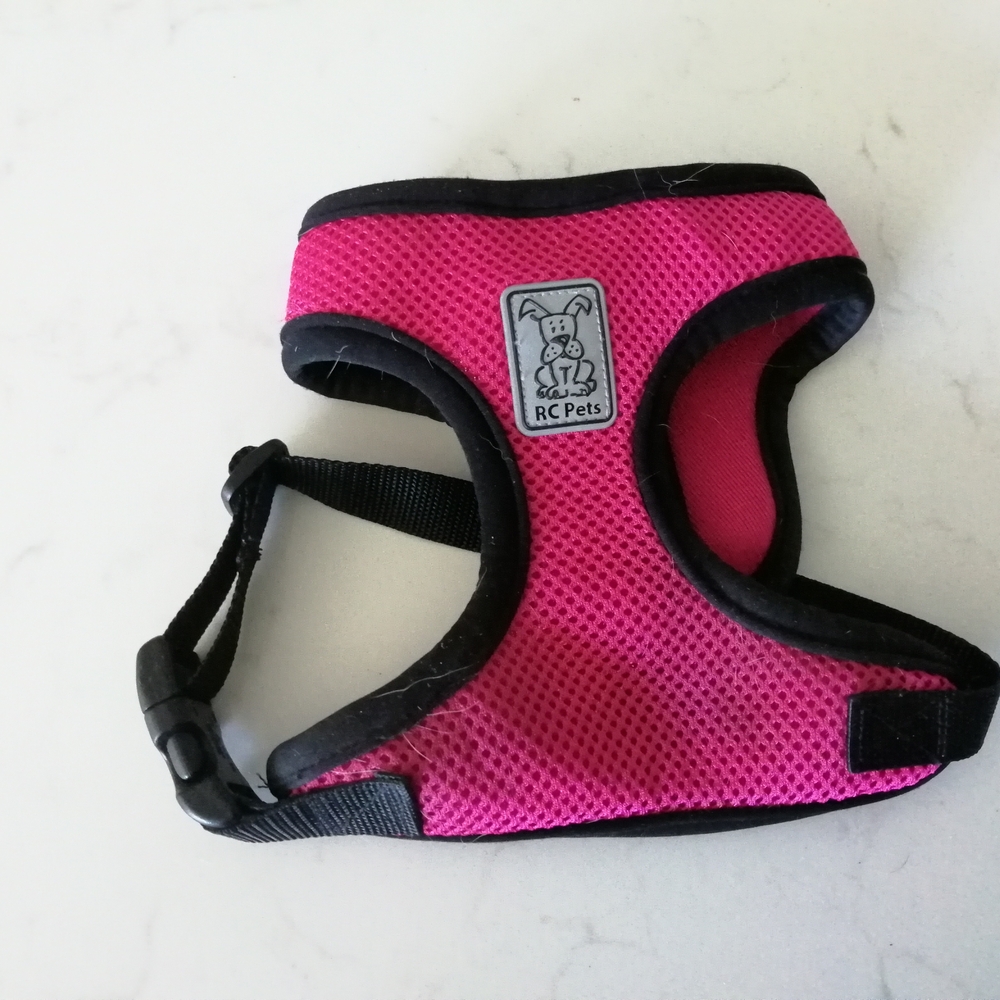 Pink Dog Harness